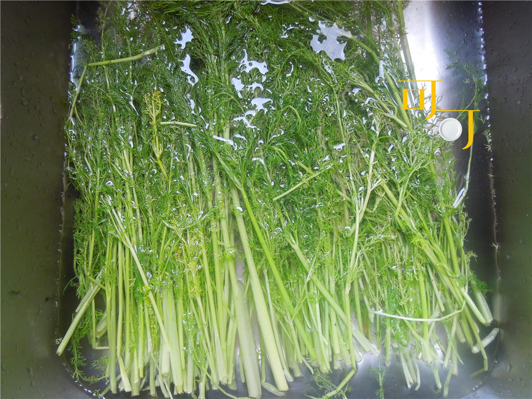 小茴香馄饨馅的制作方法,茴香馅馄饨的做法窍门