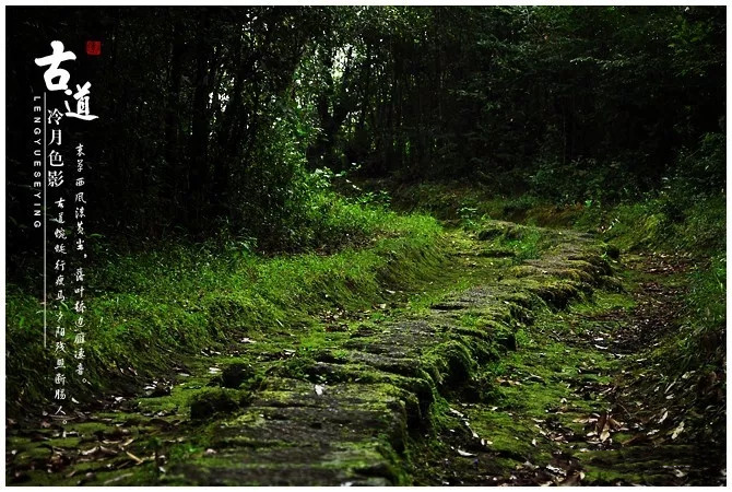 户撒佛祖的后花园现在怎么走,户撒为什么叫佛祖后花园