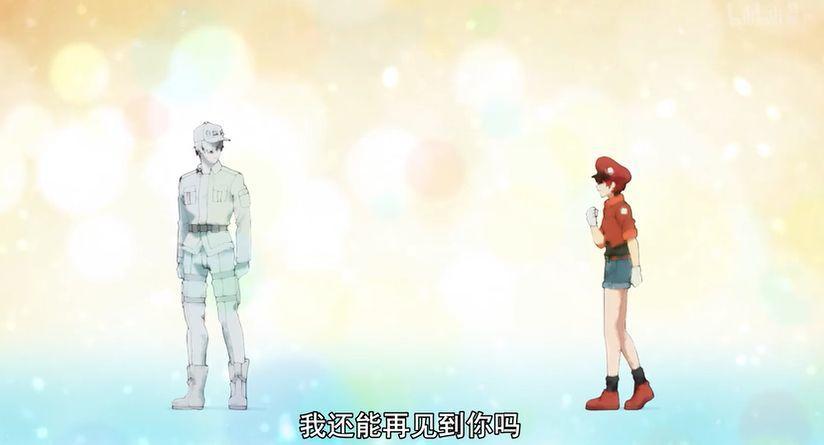 9.2分，半年后这么萌的片终于回来了