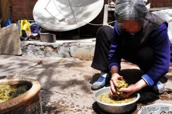 吉人果园深度分析：农民与消费者之间的那道“怪坡”