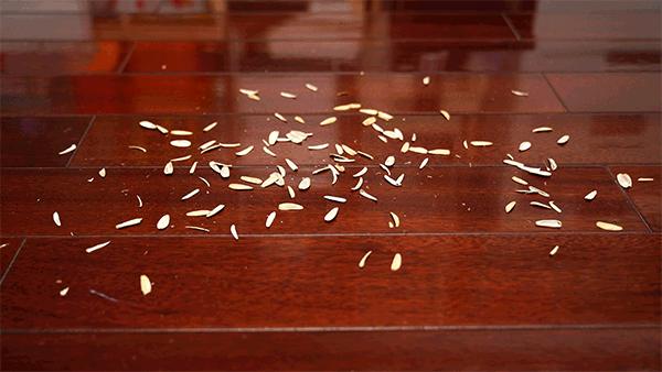 扫地机和洗地机吸尘器,家用洗地机扫地机哪个好用