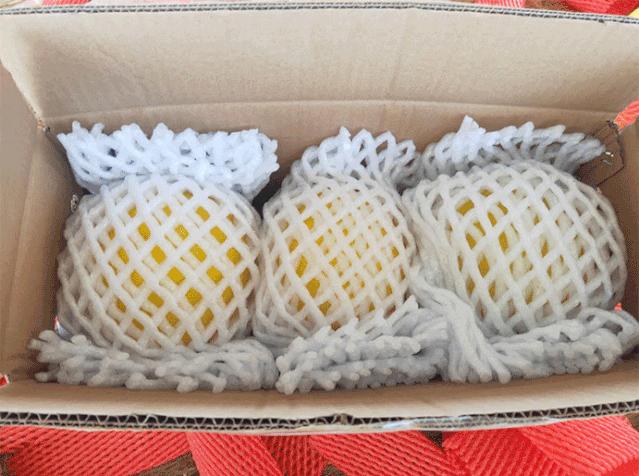 又香又甜又脆的蜜瓜,甜而不腻的蜜瓜好吃到停不下来