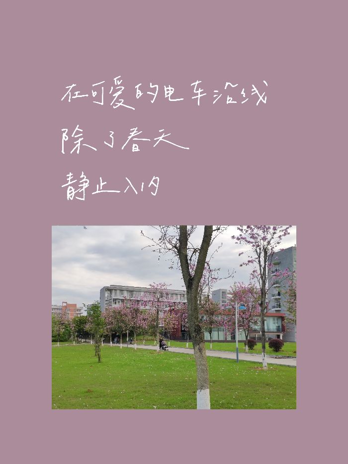 在广西师范大学的上学体验