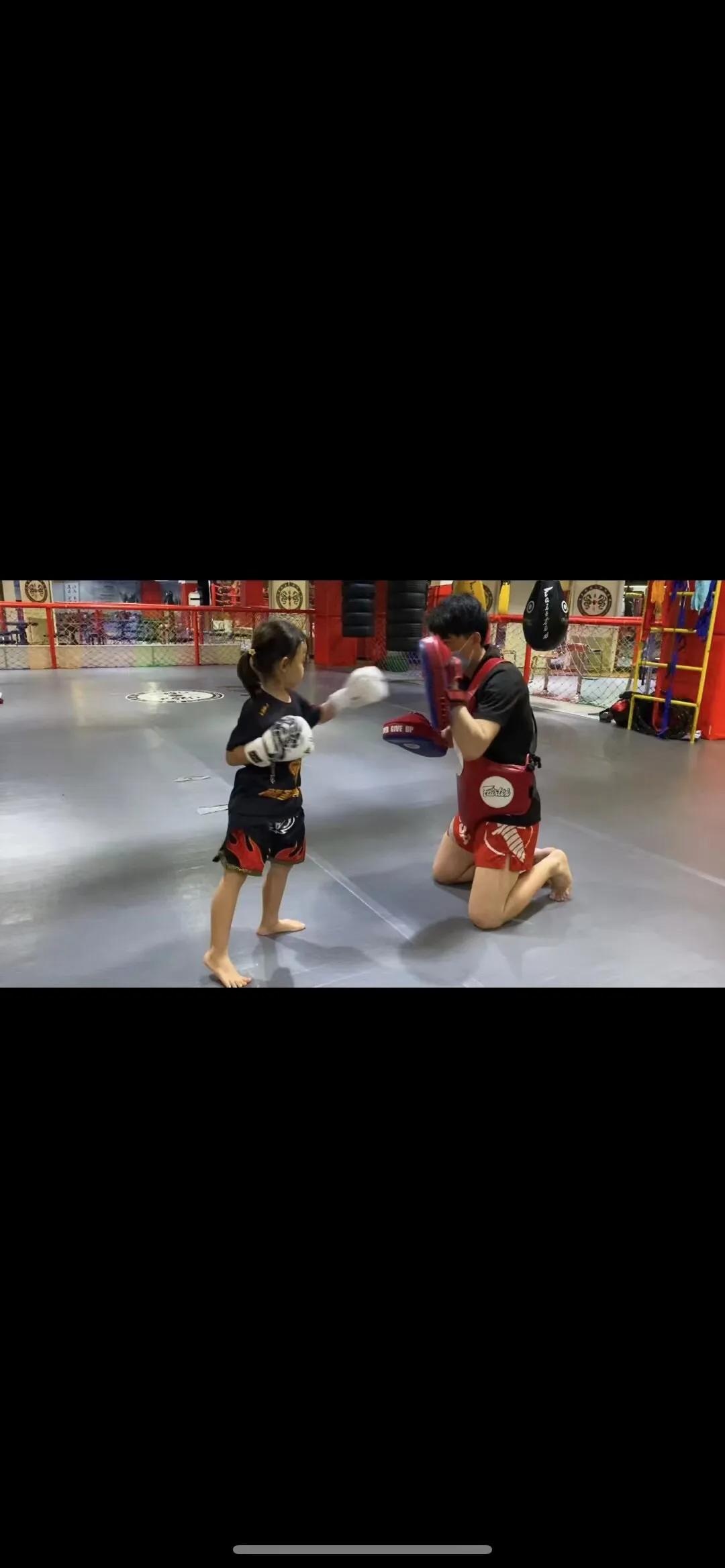 武术散打跆拳道拳击,武术散打跆拳道