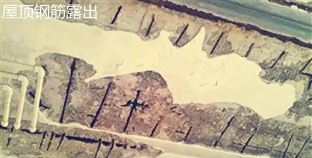 农村自建房钢筋露筋怎么处理,住宅屋顶钢筋外露怎么处理