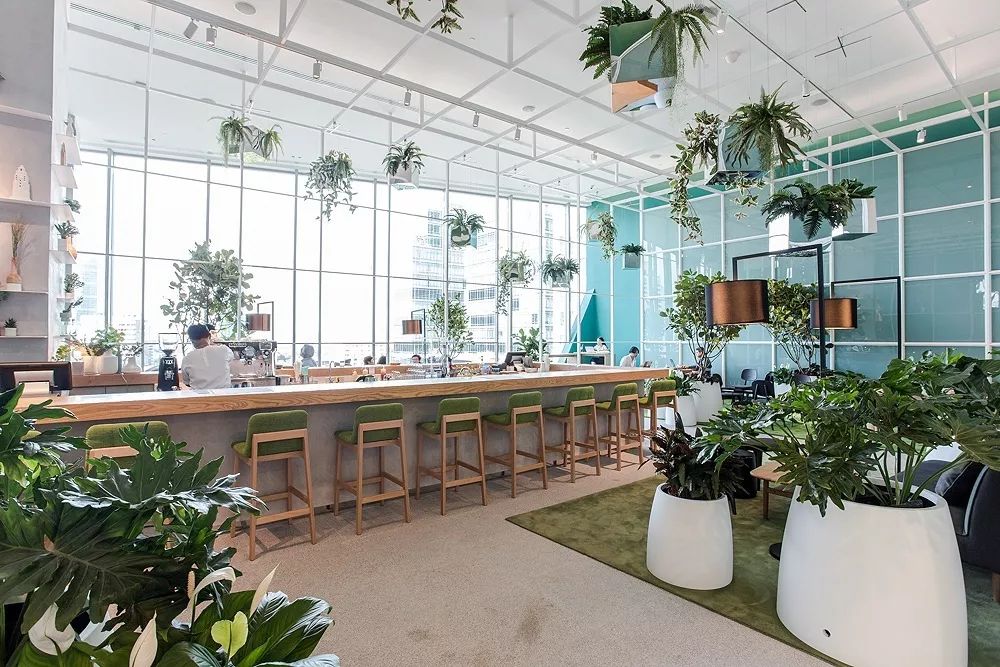 逛过这些店的，才敢说自己是北上广最潮的仔/妹