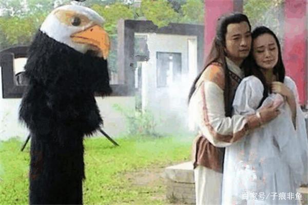 各版神雕侠侣中的大雕,神雕里面的雕结局