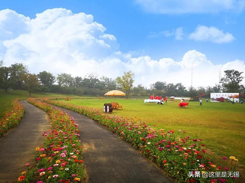 无锡秋游胜地最全推荐,无锡秋游自驾绝佳去处