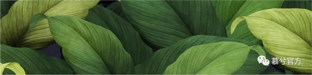 慕兮，械字号私护产品开创者