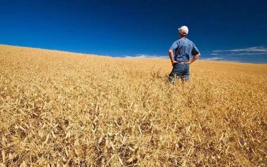 新型城镇化下一个政策红利,农村土地城镇化后宅基地归谁