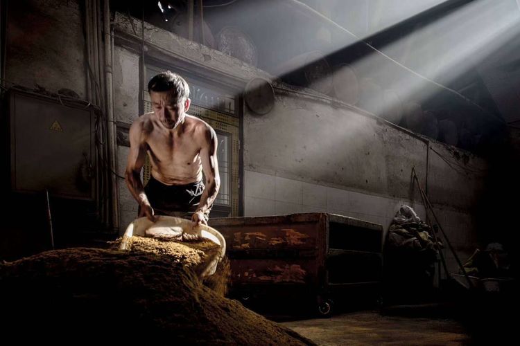 8月向日葵云海(徽州百工、黟县的朋友圈、瓷都景德镇)采风