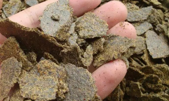 鸡粪能与木屑发酵吗,鸡粪木屑发酵比例