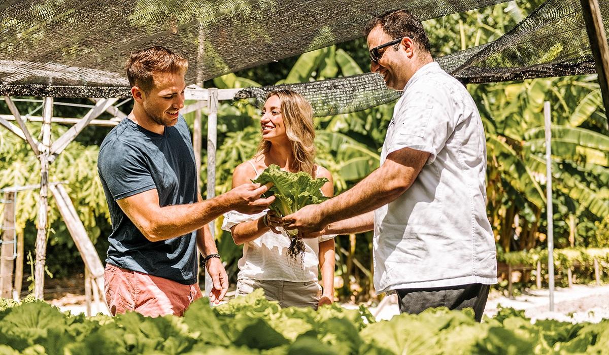 马代香格里拉岛攻略,马尔代夫推荐哪个岛比较好玩