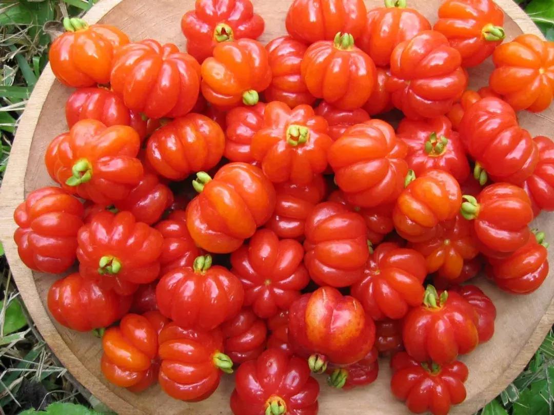 90斤的超大南瓜,迷你南瓜一个多少斤