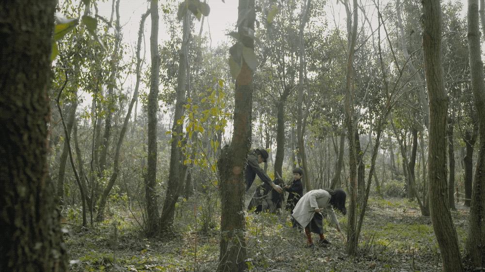 姝︽眽鏂板啝搴峰娌荤枟,姝︽眽鏂板啝娌荤枟浜虹兢鍚庣画鐢熸椿