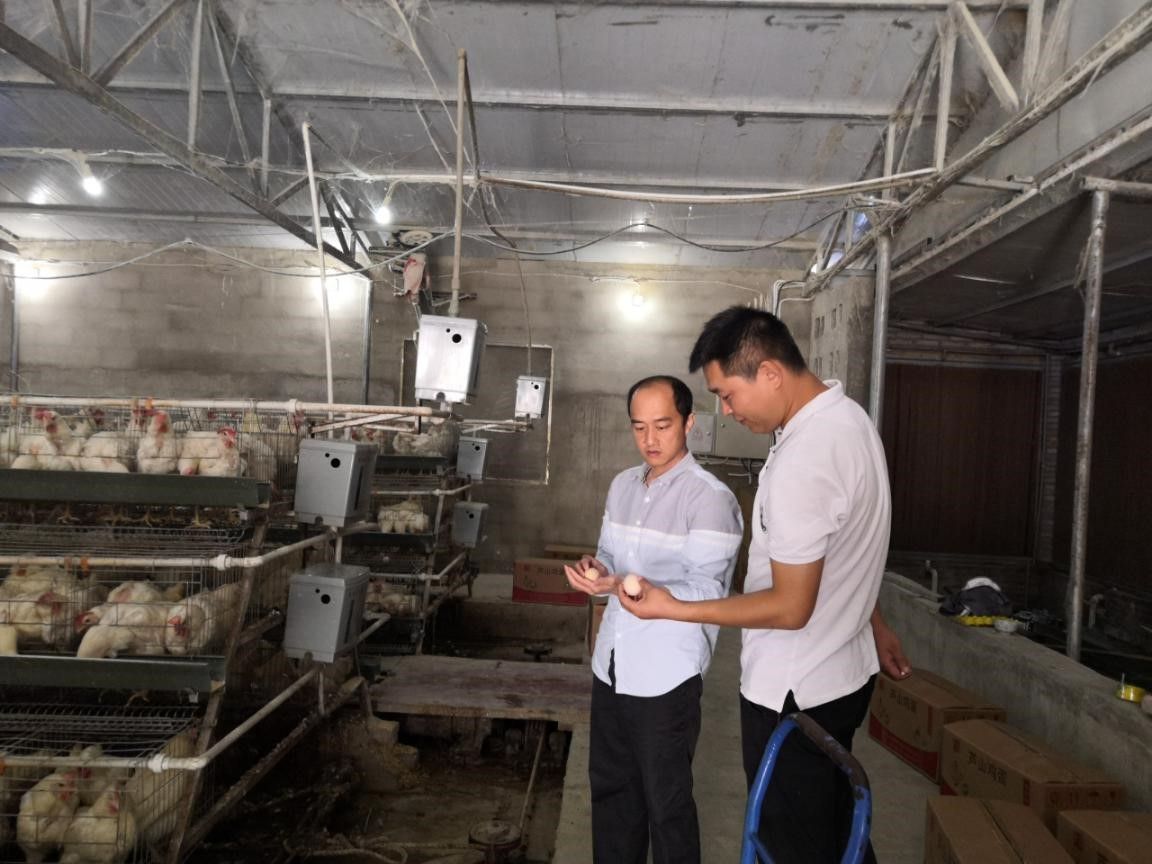 珠江升明月,两地共此时