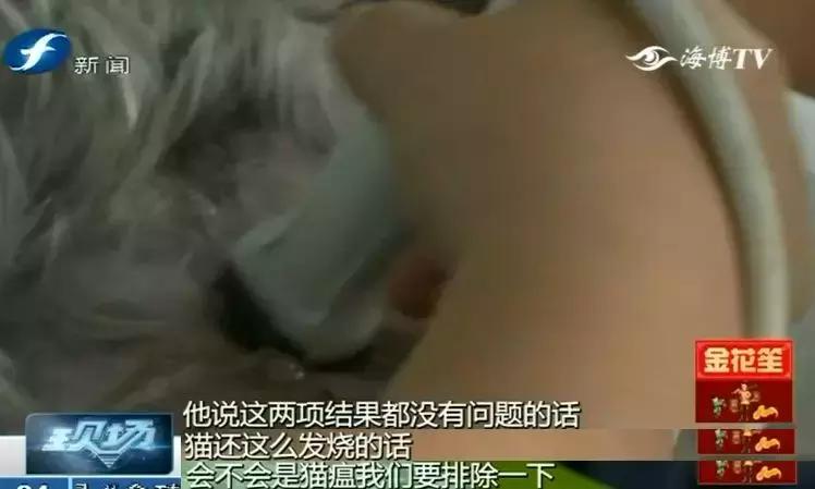 鍝瀹犵墿鍖婚櫌姝h涓嶄贡鏀惰垂,鏇濆厜瀹犵墿琛屼笟榛戝箷