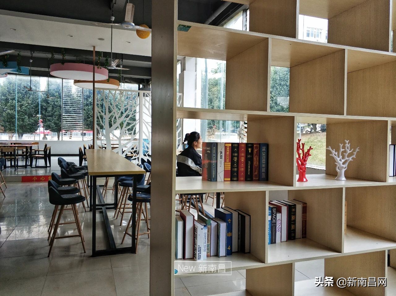 江西中医药大学回忆,现在的江西中医药大学