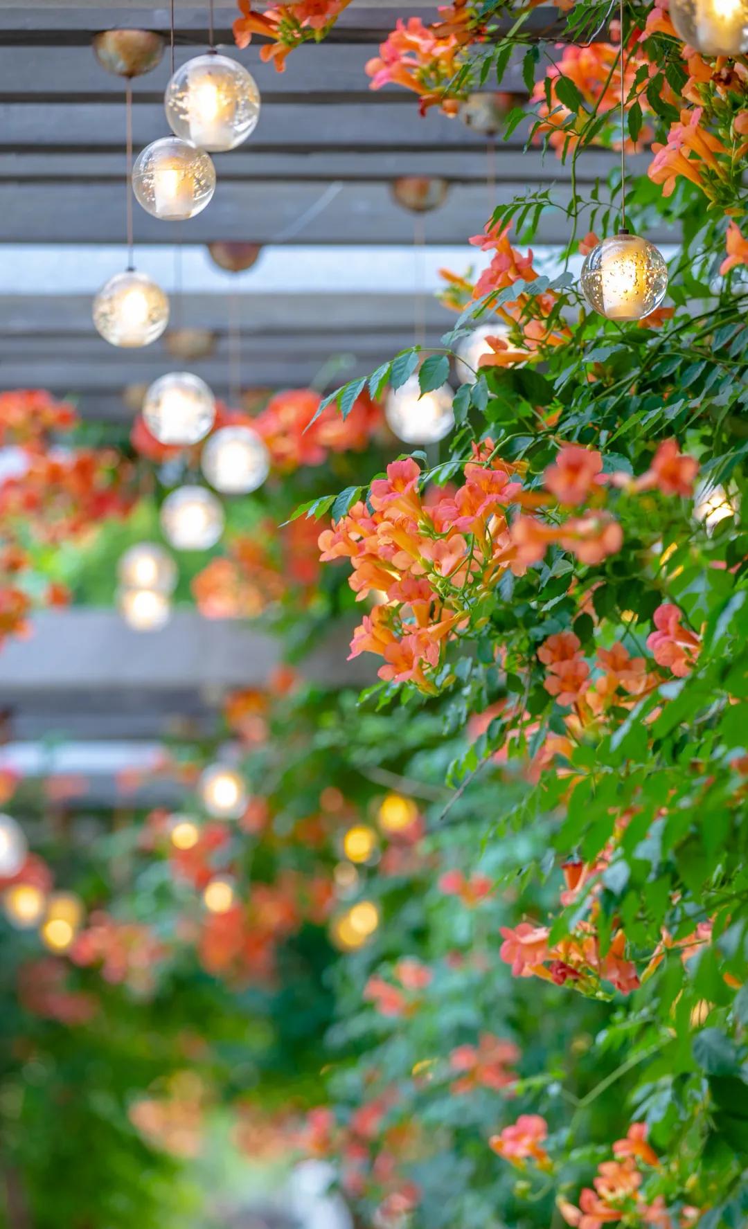 在济南花式避暑,一见“清”心!只需一瞥,便足以把酷夏原谅…