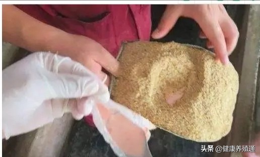 外购仔猪如何防病,养殖户自购疫苗注意事项