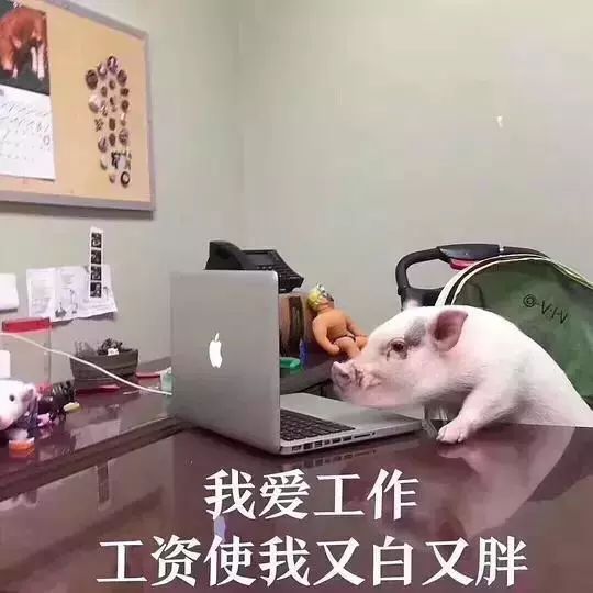 副业刚需背后的事,副业刚需要注意哪些事项