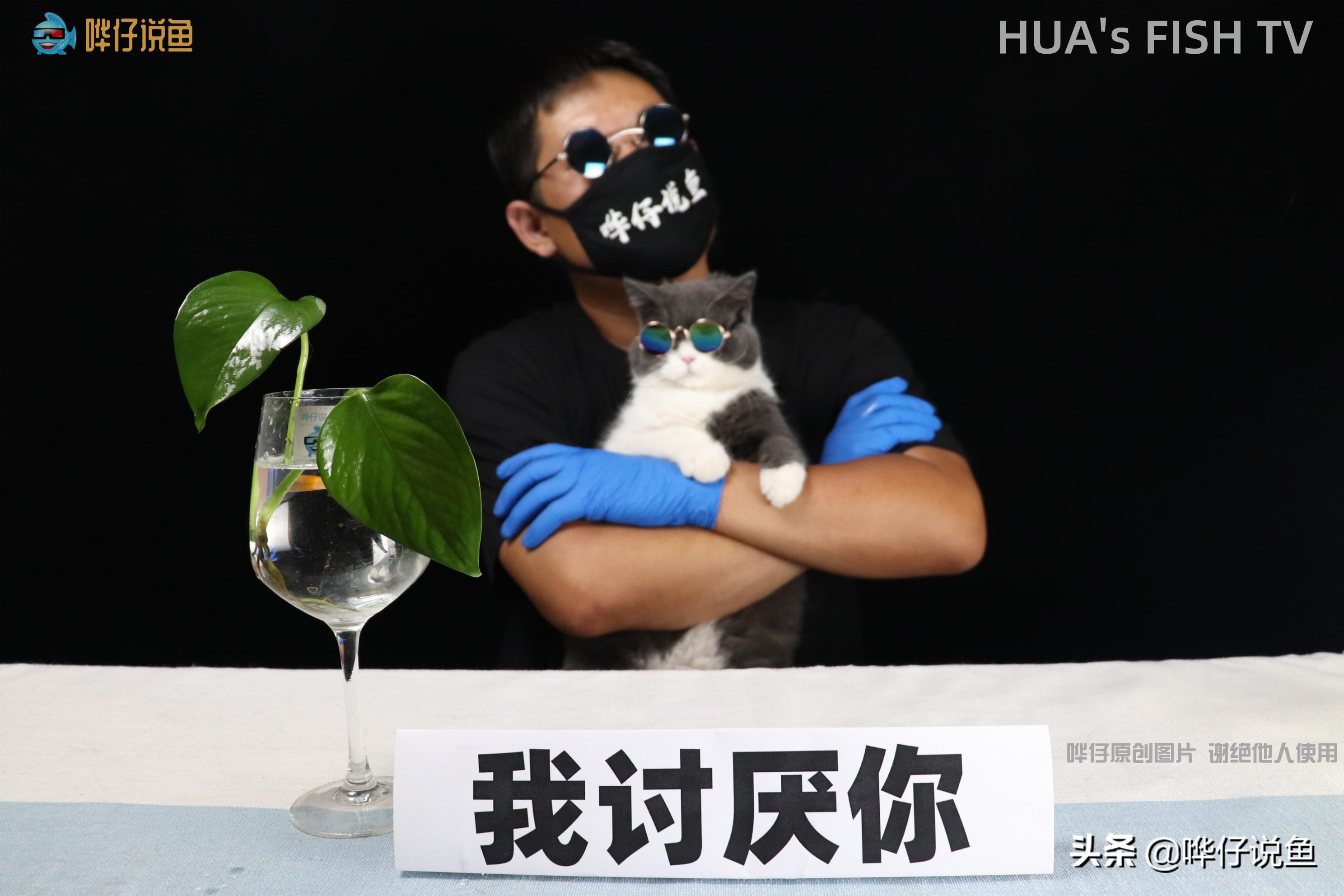 去朋友家做客发生什么,来朋友家看鱼缸