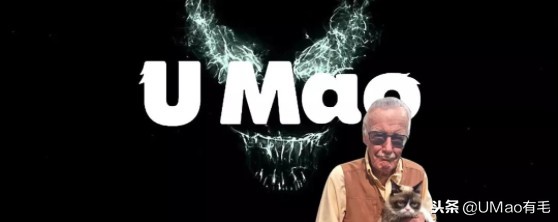 宫崎骏老爷爷笔下经典形象龙猫的原型居然是个鸟,WTF+问号脸