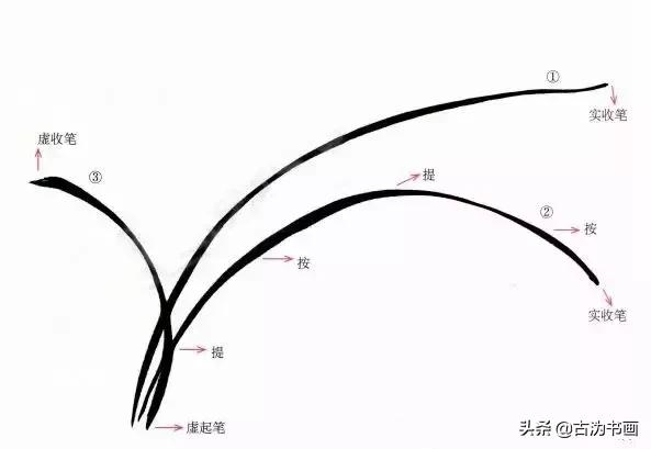 徐湛国画兰花技法教学,国画兰花入门技法