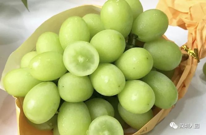 堪比满汉全席的幼儿园伙食,伙食特别好的幼儿园是哪一所