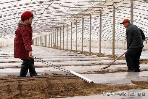 温室大棚提高温度方法图片,控温连体大棚夏天温度