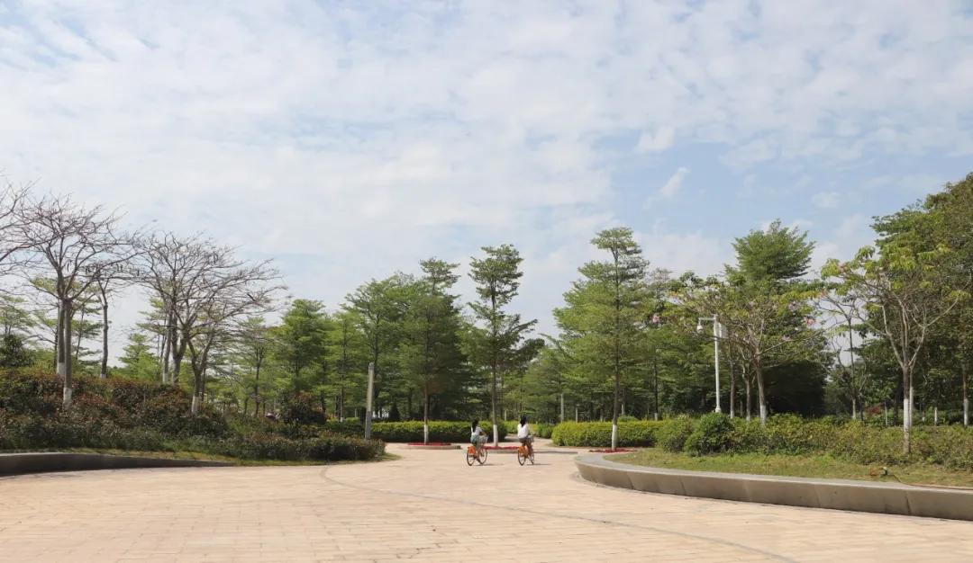 回眸十三五奋进新时代,回眸十三五铸就新征程