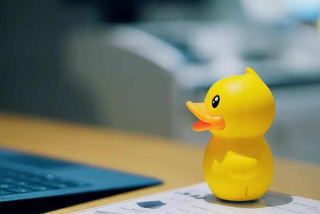 陪你洗澡的小黄鸭，一年躺赚几千万