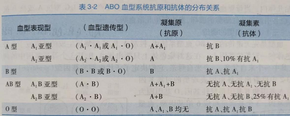 熊猫血现在很常见了吗,熊猫血经常被误认为什么血