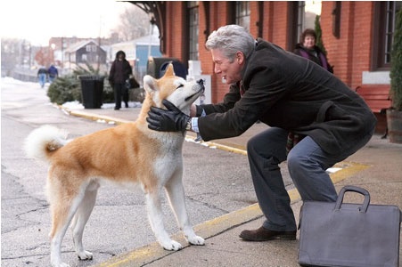 4种不适合养的狗狗你中招了吗,国内禁止饲养的狗狗都有哪些
