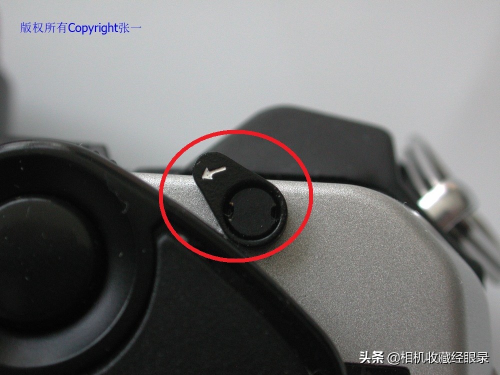 海鸥DF2000,海鸥df-300a仿的什么相机