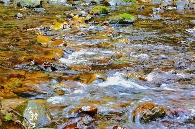 去张家界自助游攻略,张家界免门票自助游攻略图片真实