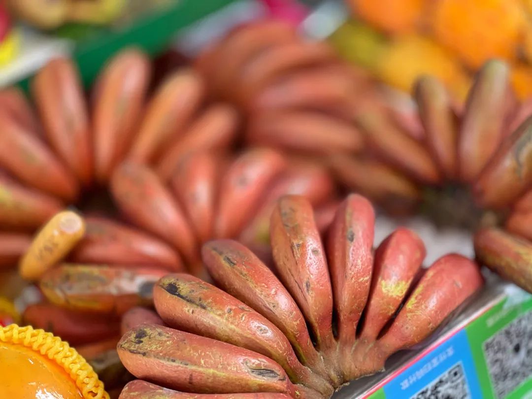 一次惬意的厦门之行,一家三口厦门玩四天