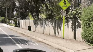 为什么加油站要24小时上班,为什么加油站一个工资1800