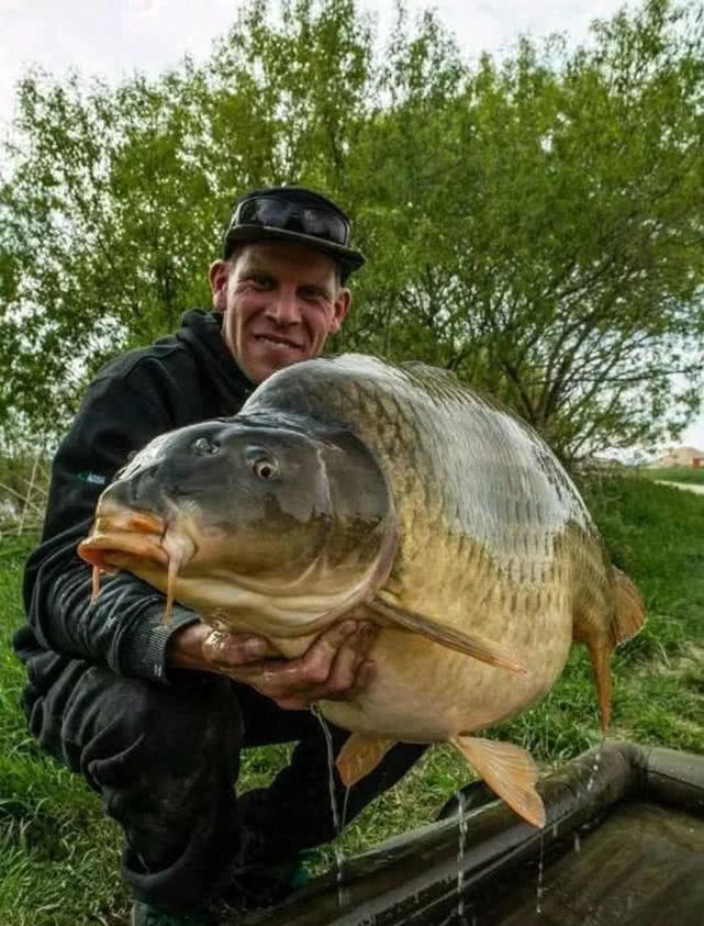 英国钓鲤鱼装备,欧洲钓鲤鱼的方法