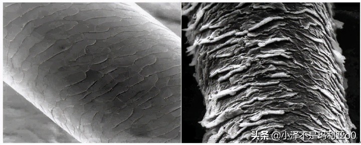 如何挑选一款吹风机,吹风机选购主要看什么