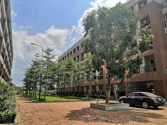 全国宿舍最好的大学宿舍图片,公办学校有哪些好宿舍