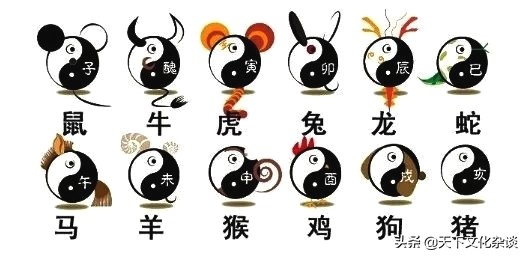 63年女兔2019全年运势和运程,香港苏民峰2019十二生肖运程