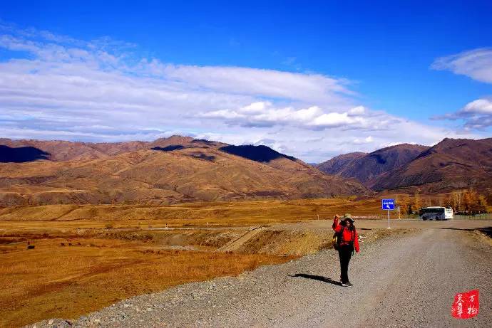 中国鸡尾,中国鸡尾巴