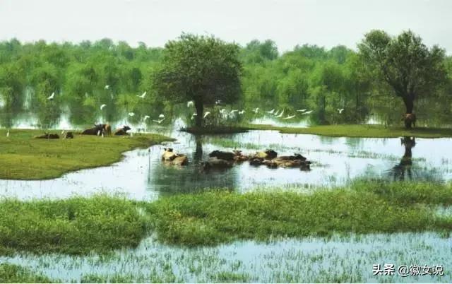 合肥各个区pk郑州,合肥是全国最漂亮的城市吗