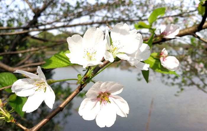 美丽的南湖公园夜景,南湖风景区真的太美了