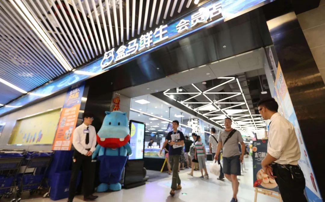 鸡100元10只怎么购买,100元钱一只的鸡