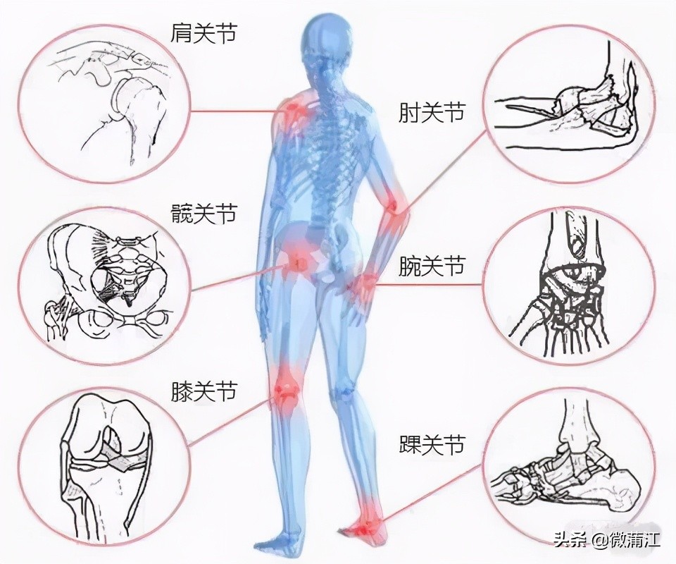 超声新技术医学影像,超声医学检查技术