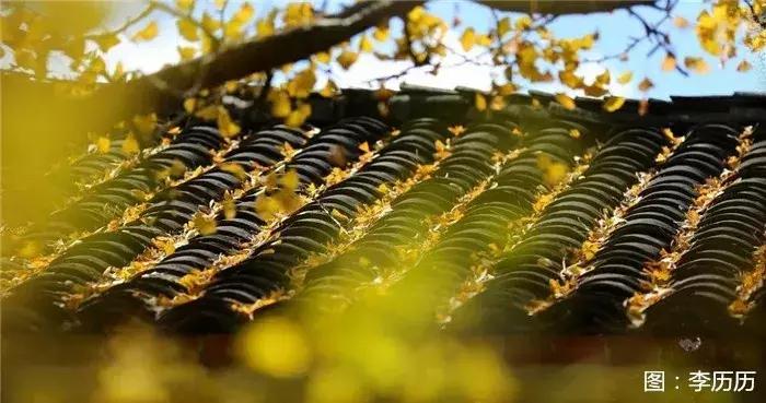 今天，推荐 5 个值得去的地方！