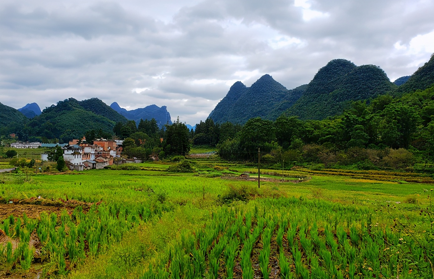 茂兰喀斯特原始森林徒步穿越,茂兰喀斯特森林之旅