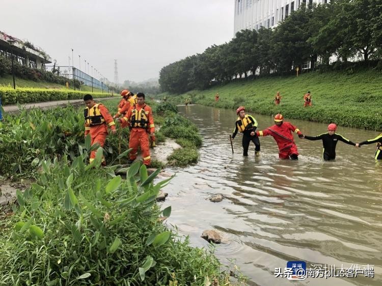 深圳暴雨引发洪水5人死亡6人失联,深圳暴雨引发洪水多人被冲走